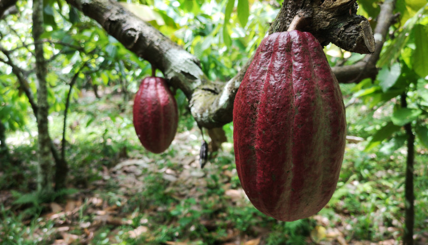 ASN Bahia - Agência Sebrae de Notícias