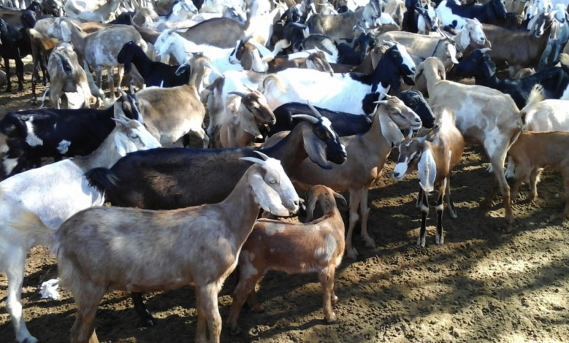 ASN Bahia - Agência Sebrae de Notícias