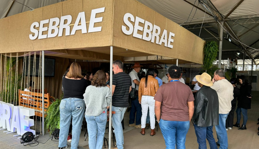 ASN Bahia - Agência Sebrae de Notícias