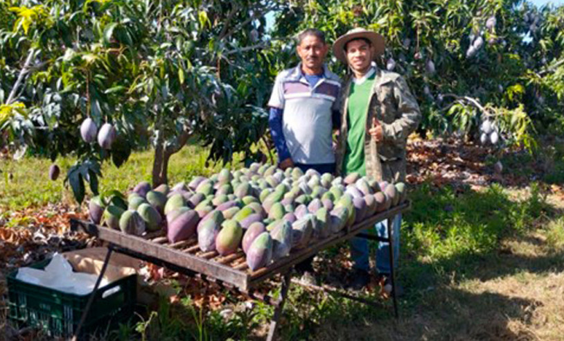 ASN Bahia - Agência Sebrae de Notícias