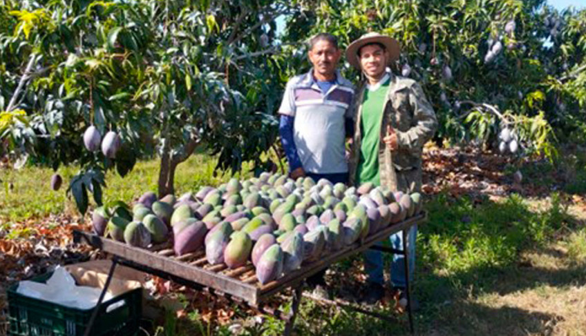 Cooperman comemora 1ª venda de manga