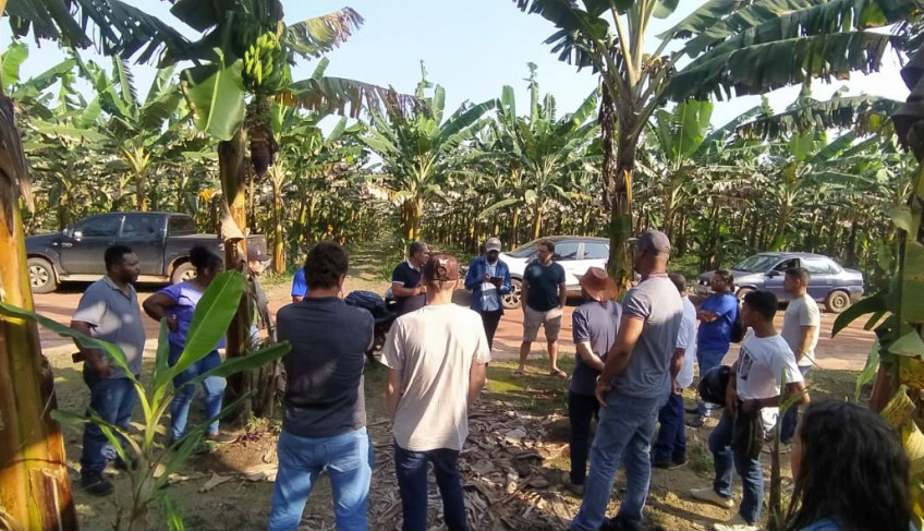 ASN Bahia - Agência Sebrae de Notícias