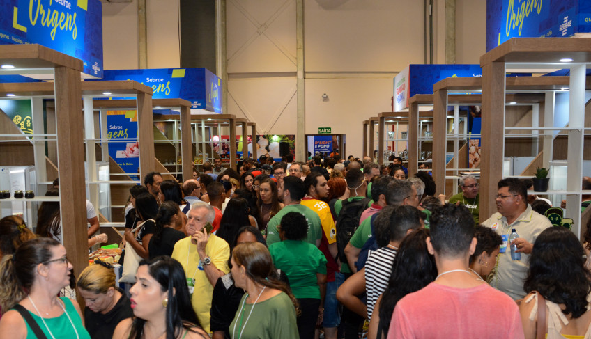 ASN Bahia - Agência Sebrae de Notícias