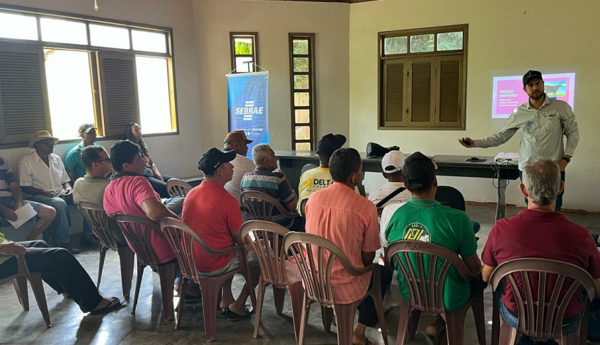 ASN Bahia - Agência Sebrae de Notícias