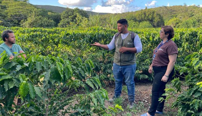 ASN Bahia - Agência Sebrae de Notícias