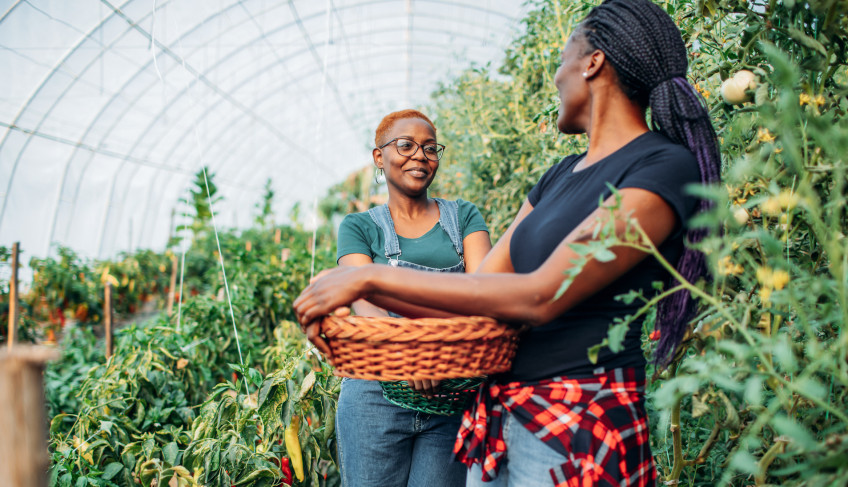 ASN Bahia - Agência Sebrae de Notícias