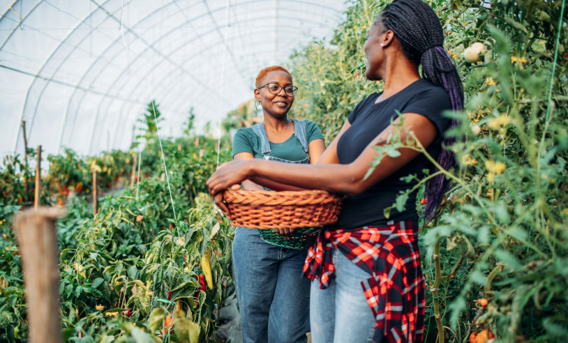 ASN Bahia - Agência Sebrae de Notícias