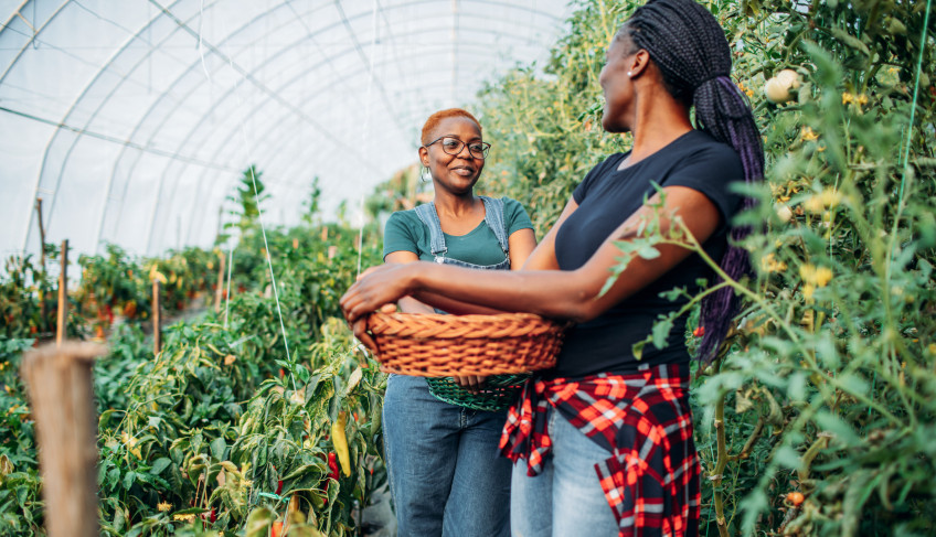 ASN Bahia - Agência Sebrae de Notícias