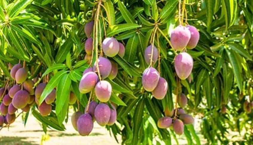 ASN Bahia - Agência Sebrae de Notícias