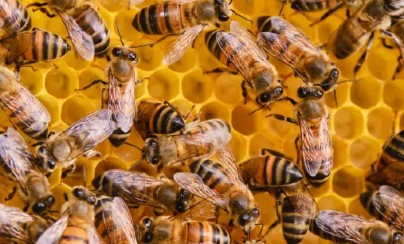 ASN Bahia - Agência Sebrae de Notícias