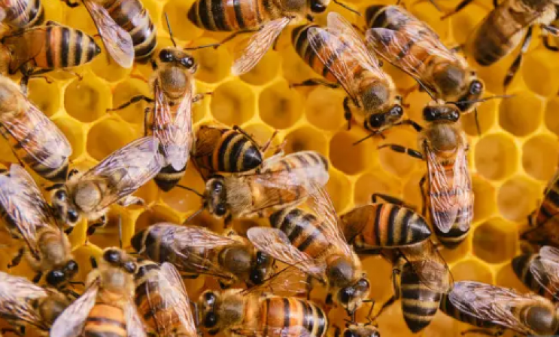 ASN Bahia - Agência Sebrae de Notícias