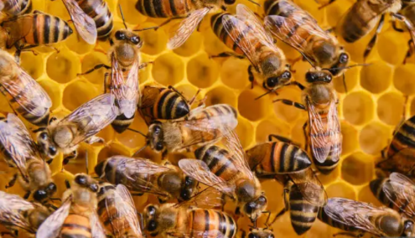 ASN Bahia - Agência Sebrae de Notícias