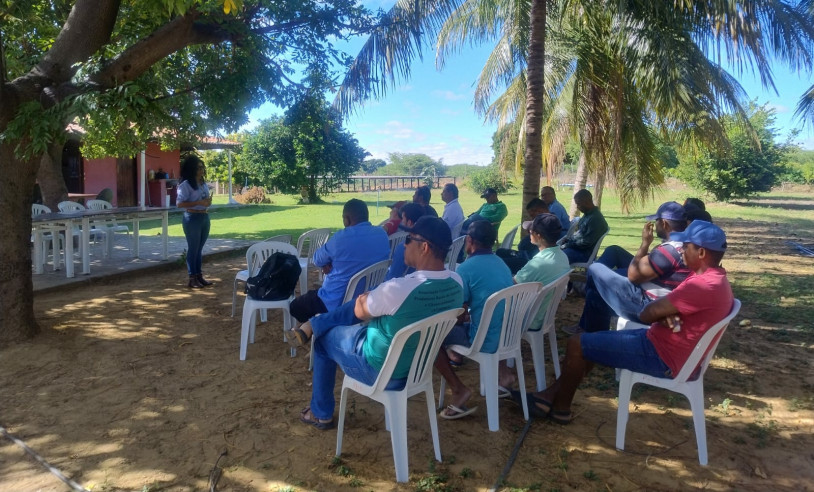 ASN Bahia - Agência Sebrae de Notícias