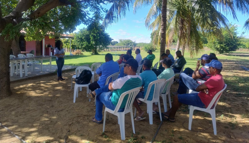 ASN Bahia - Agência Sebrae de Notícias