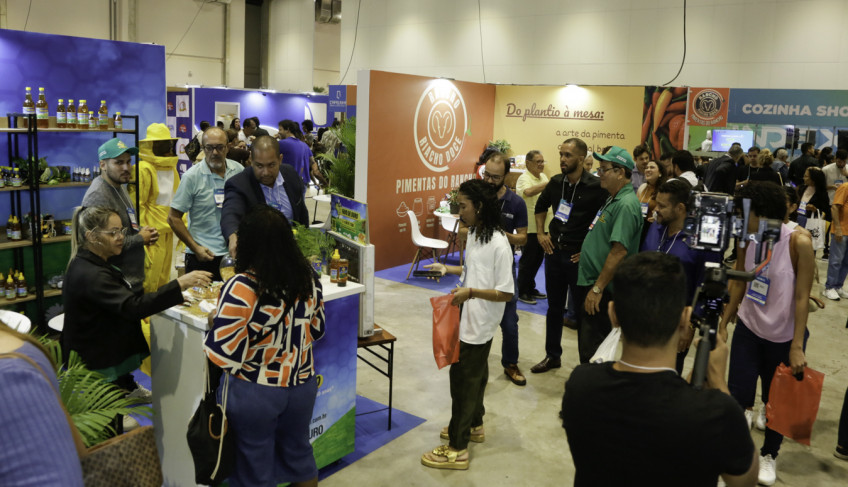 ASN Bahia - Agência Sebrae de Notícias