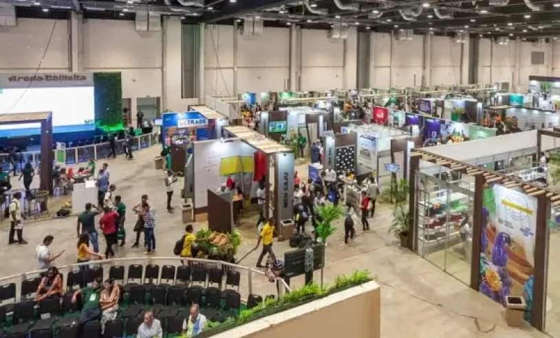 ASN Bahia - Agência Sebrae de Notícias