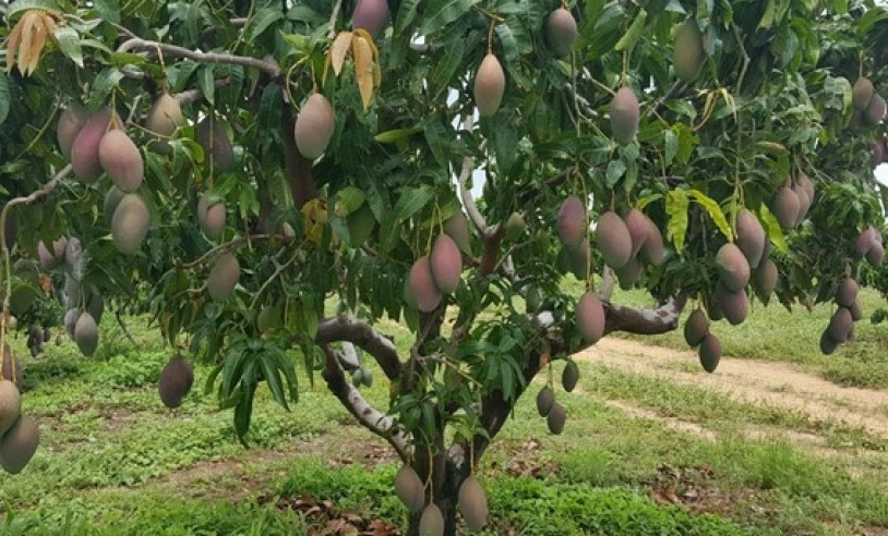 ASN Bahia - Agência Sebrae de Notícias