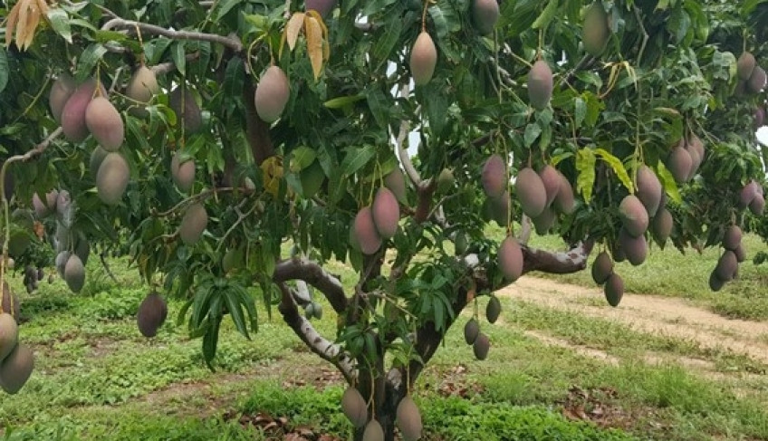 ASN Bahia - Agência Sebrae de Notícias