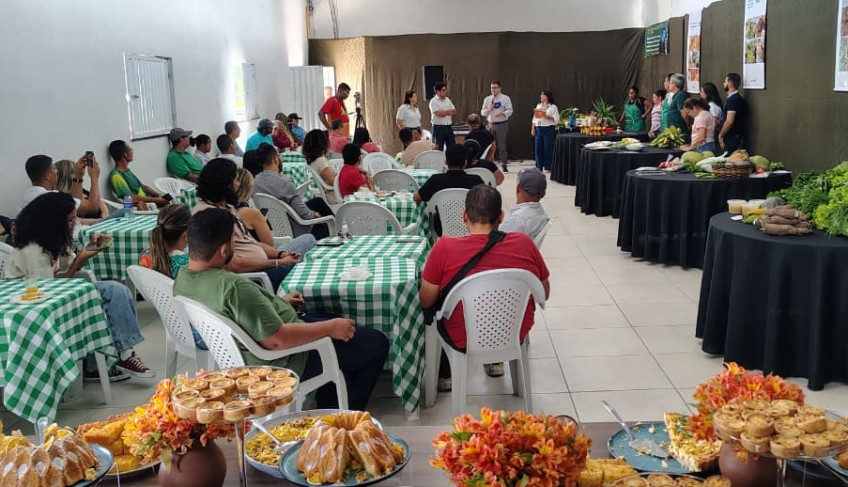 ASN Bahia - Agência Sebrae de Notícias