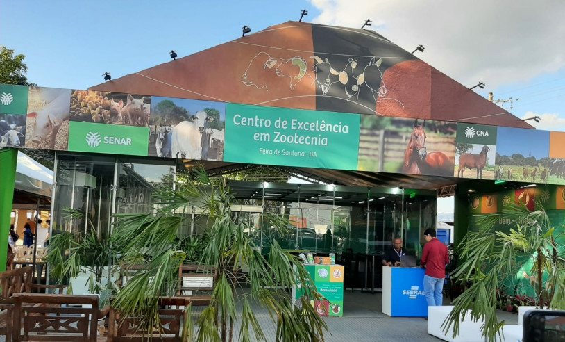ASN Bahia - Agência Sebrae de Notícias