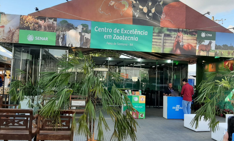 ASN Bahia - Agência Sebrae de Notícias