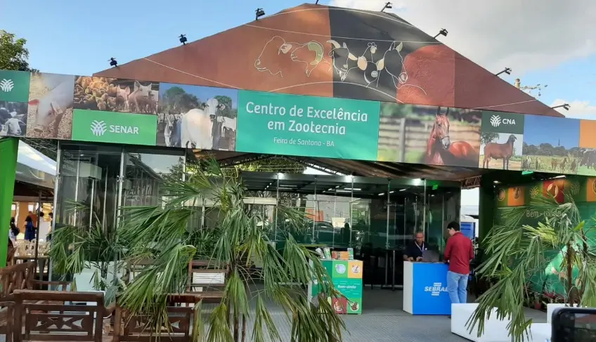 ASN Bahia - Agência Sebrae de Notícias