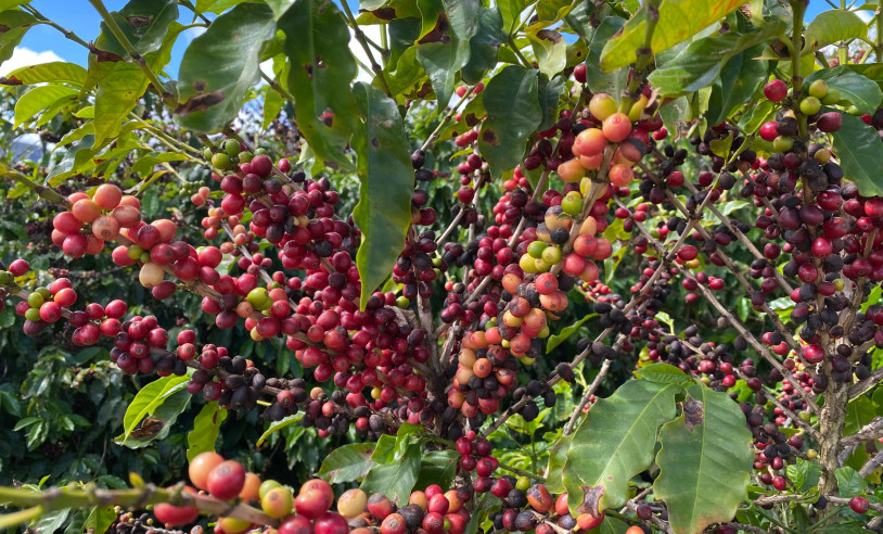 ASN Bahia - Agência Sebrae de Notícias