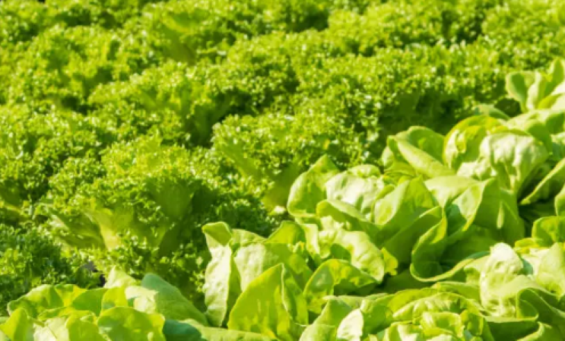 ASN Bahia - Agência Sebrae de Notícias