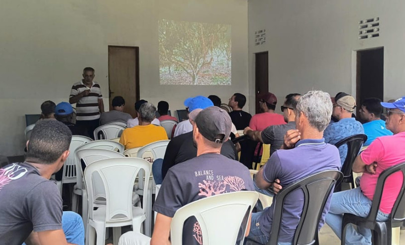 ASN Bahia - Agência Sebrae de Notícias