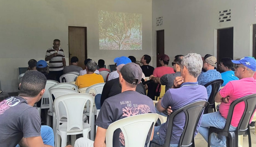 ASN Bahia - Agência Sebrae de Notícias