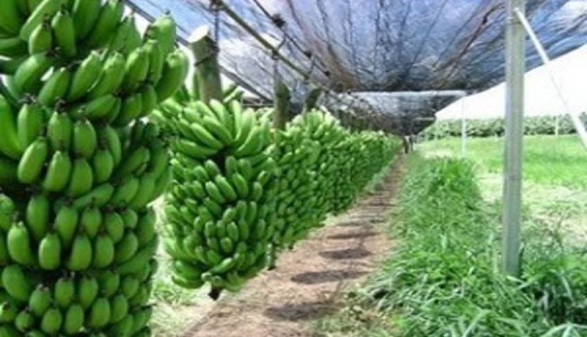 ASN Bahia - Agência Sebrae de Notícias