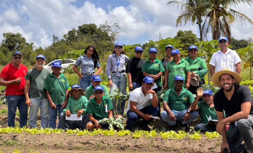 ASN Bahia - Agência Sebrae de Notícias