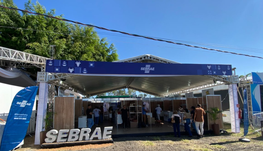 ASN Bahia - Agência Sebrae de Notícias