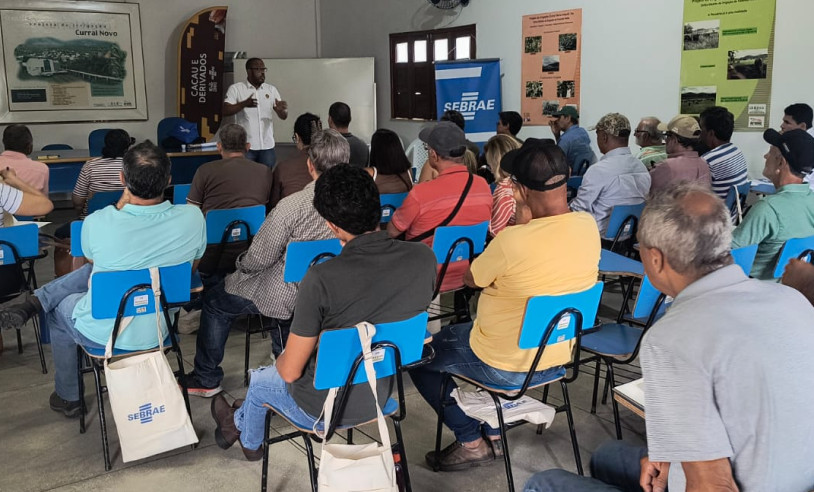 ASN Bahia - Agência Sebrae de Notícias