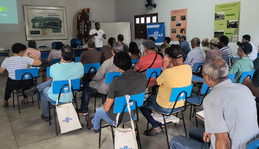 ASN Bahia - Agência Sebrae de Notícias
